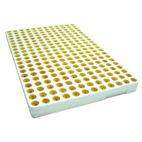  Grodan - Sheet of 240 rock wool plugs