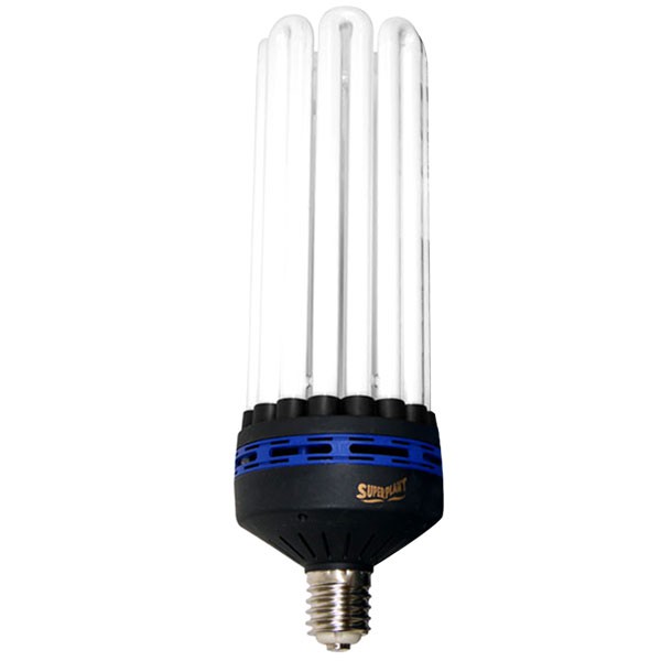 Superplant - Ampoule CFL 250W Croissance 6400K° V2