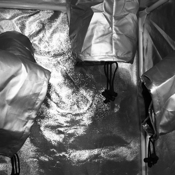  Blackbox Silver - Sala de cultivo - BBS - 40x40x140cm