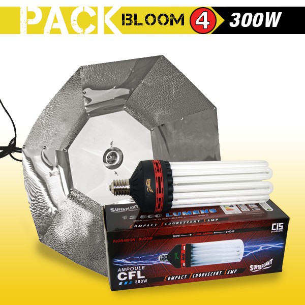 KIT lampe CFL 300W FLORAISON 4