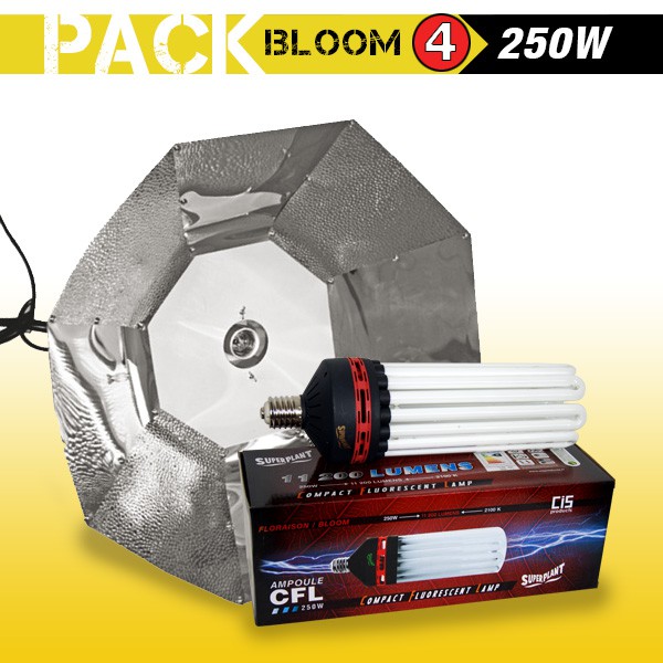 KIT lampe CFL 250W FLORAISON 4