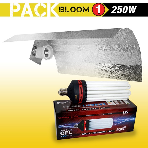 KIT lampe CFL 250W FLORAISON 1